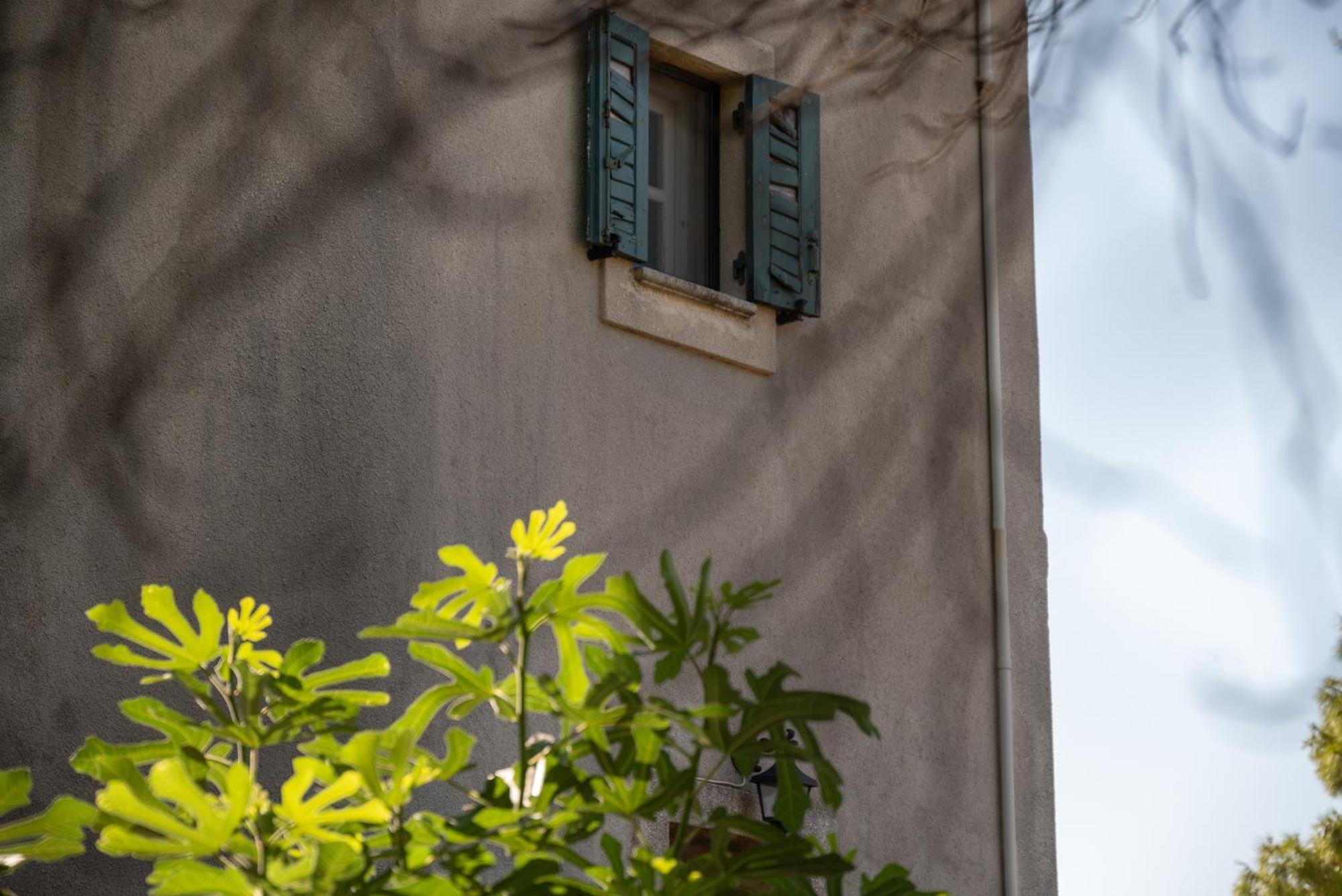 Villa Marfo Natural Park Maries (Zakynthos) Exterior foto
