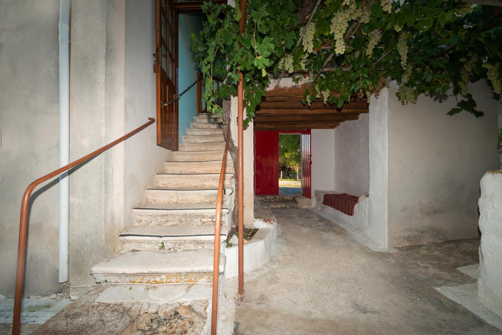 Villa Marfo Natural Park Maries (Zakynthos) Exterior foto