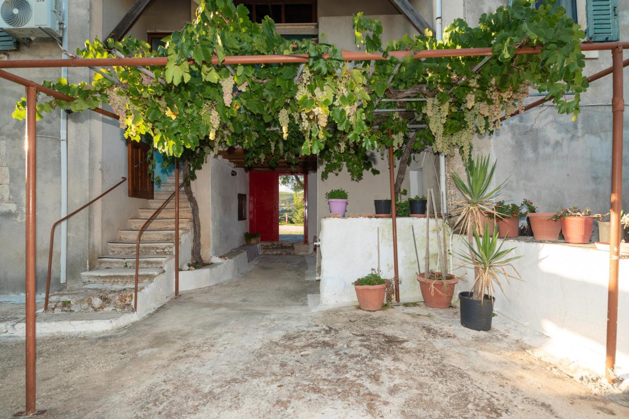 Villa Marfo Natural Park Maries (Zakynthos) Exterior foto