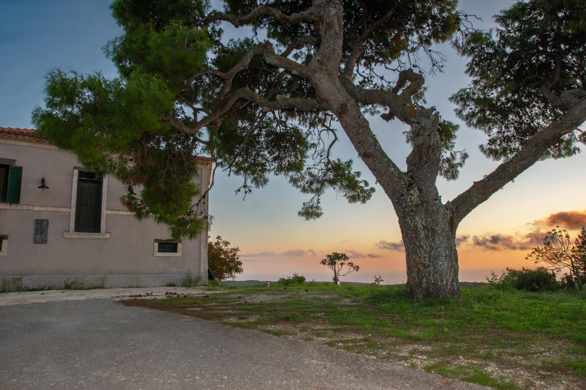 Villa Marfo Natural Park Maries (Zakynthos) Exterior foto